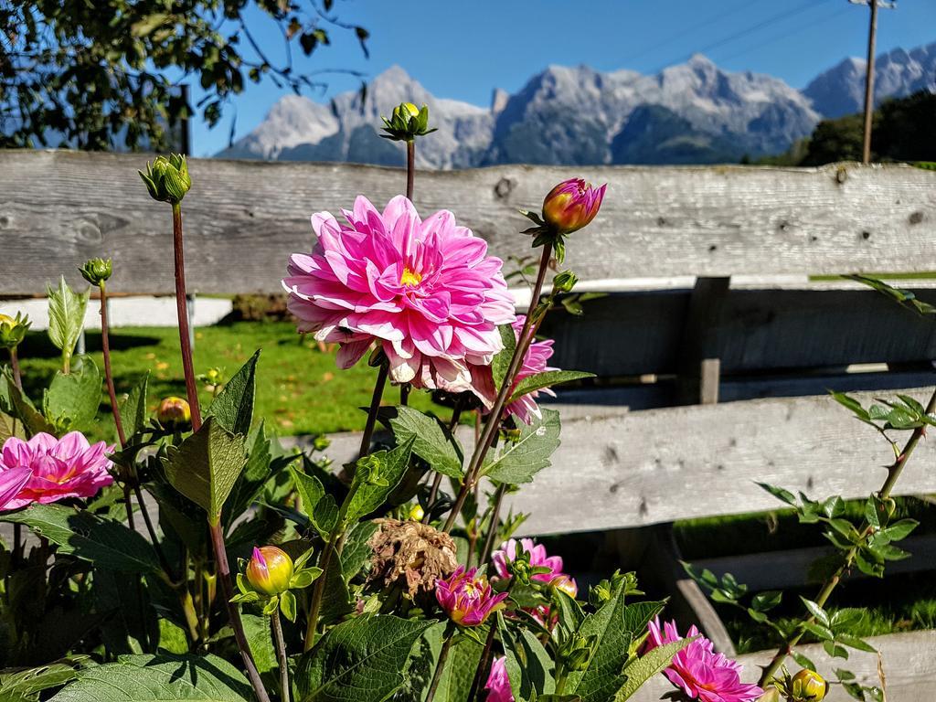 Biobauernhof Stegerbauer Apartment Maria Alm am Steinernen Meer Exterior foto